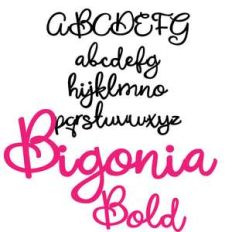 pn bigonia bold