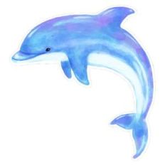 dolphin watercolor
