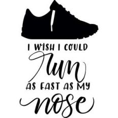 i wish i could run