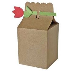 milk carton tulip closure