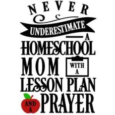 never underestimate homeschool mom