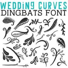 cg wedding curves dingbats