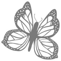 dotted butterfly