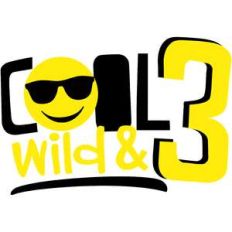 cool, wild and three 3rd birthday boy