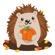 hedgehog with pumpkin