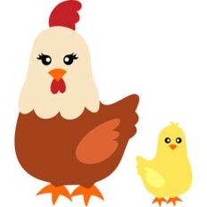 chicken and chick