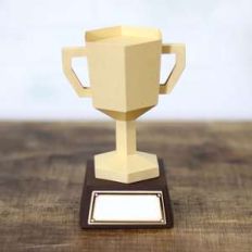 trophy box