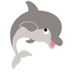dolphin