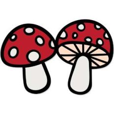 cute mushrooms