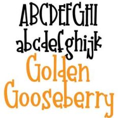 pn golden gooseberry