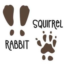 rabbit and squirrel prints