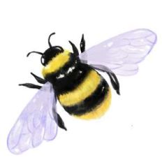 bumble bee watercolor