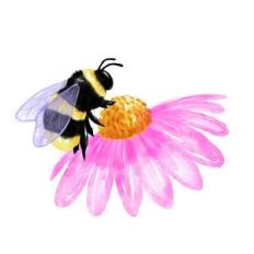 bumblebee on flower watercolor