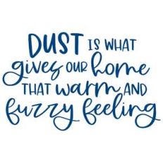 dust is what gives our home that warm and fuzzy feeling