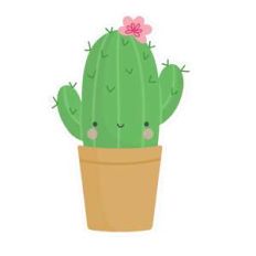 cute cactus