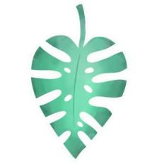 monstera