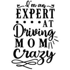 expert driving mom crazy
