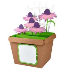 coneflower pot card in a box
