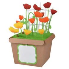 poppies pot card in a box