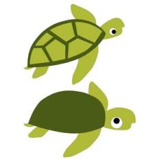 turtles