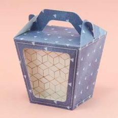 sushi box with handle and window