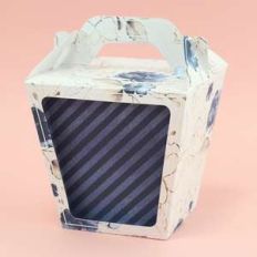 big sushi box with handle and window