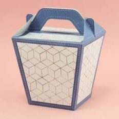 big sushi box with handle
