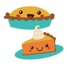 pie and slice