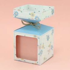 vertical candy big box with window