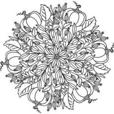 pumpkin mandala