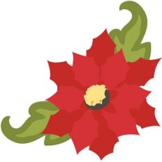 echo park poinsetta