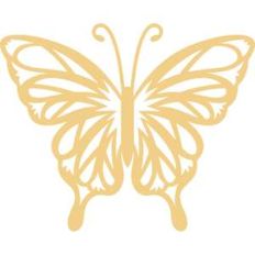 butterfly and flowers