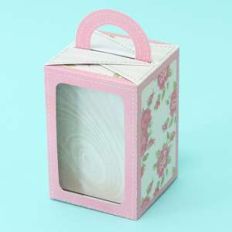 handle box with window