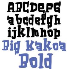 zp big kakoa bold