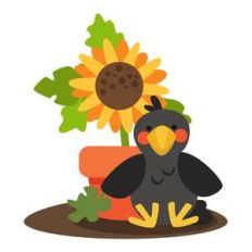 crow and sunflower