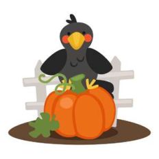crow on pumpkin