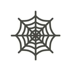 spider web
