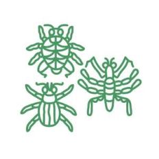 bugs