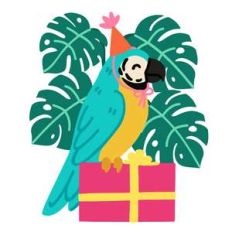 birthday parrot