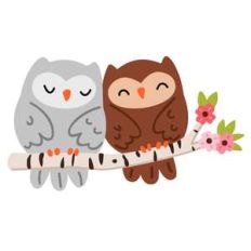 owls on a tree branch