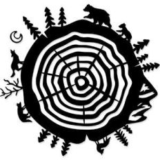 nature wood ring