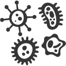 germs