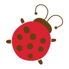 ladybug