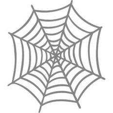 spider web