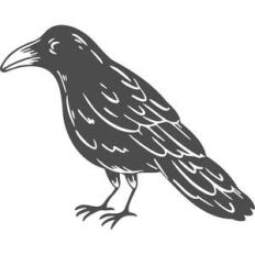 crow