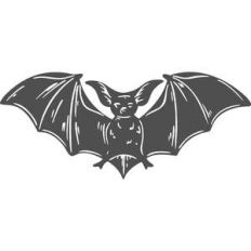 bat