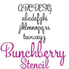 pn bunchberry stencil