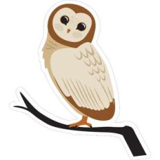 owl on branch