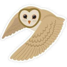 owl