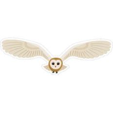 flying owl